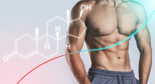 How to Increase Testosterone Levels Naturally