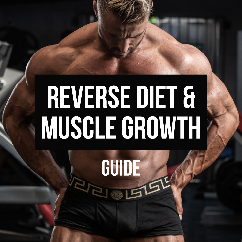 Reverse Diet and Muscle Growth Guide